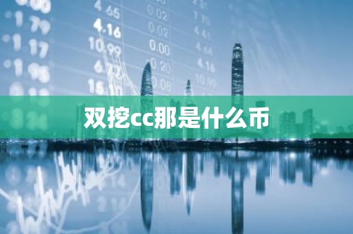 双挖cc那是什么币