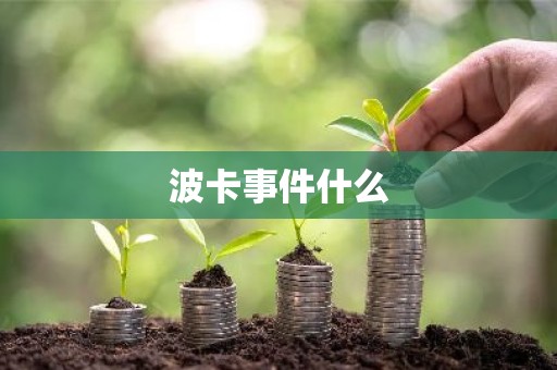 波卡事件什么