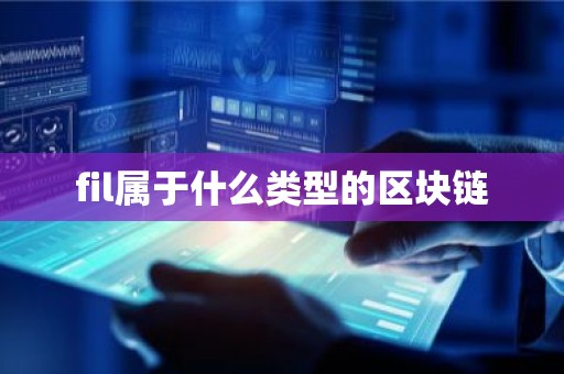 fil属于什么类型的区块链