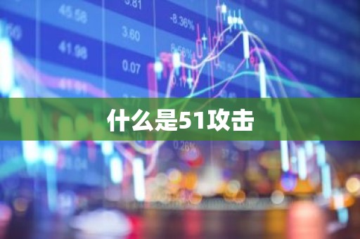 什么是51攻击