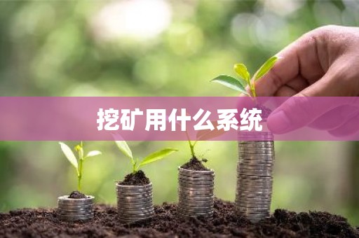 挖矿用什么系统