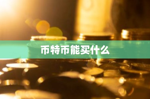 币特币能买什么