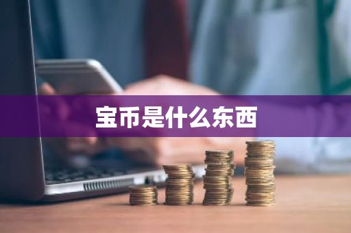 宝币是什么东西