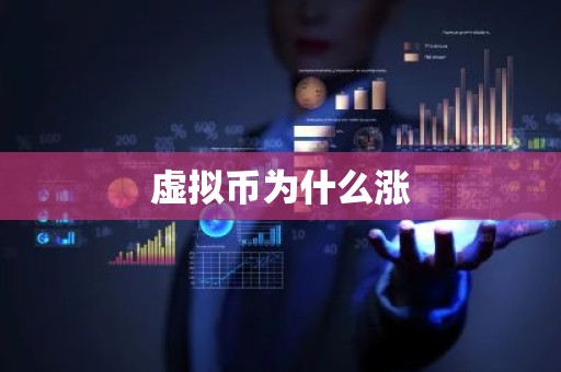 虚拟币为什么涨