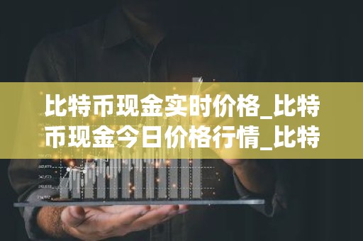比特币现金实时价格_比特币现金今日价格行情_比特币现金最新消息