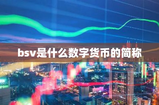 bsv是什么数字货币的简称