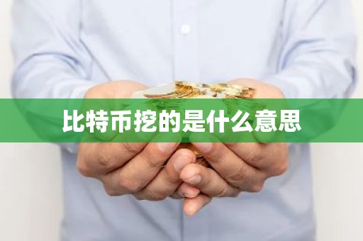 比特币挖的是什么意思