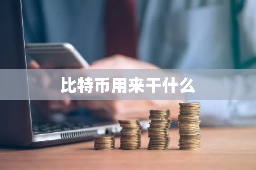 比特币用来干什么