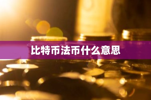 比特币法币什么意思