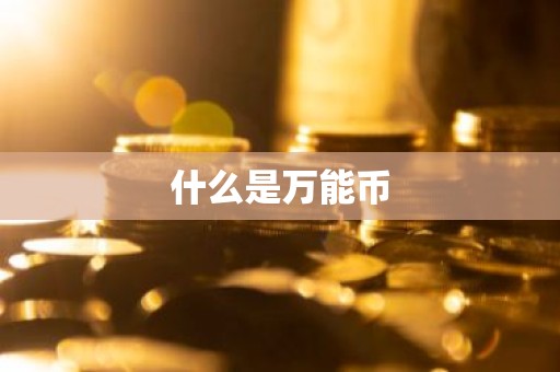 什么是万能币