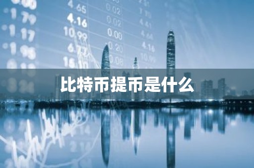 比特币提币是什么