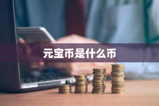 元宝币是什么币