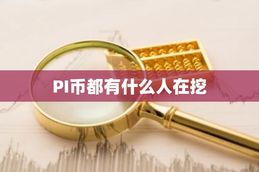 PI币都有什么人在挖