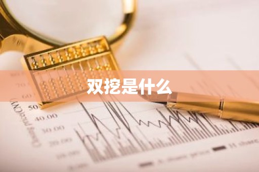 双挖是什么