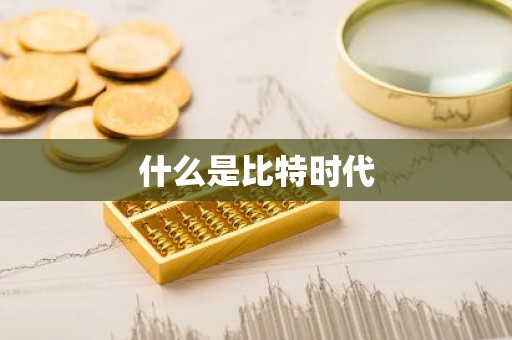 什么是比特时代