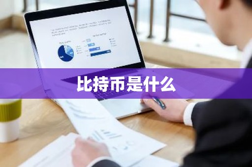 比持币是什么