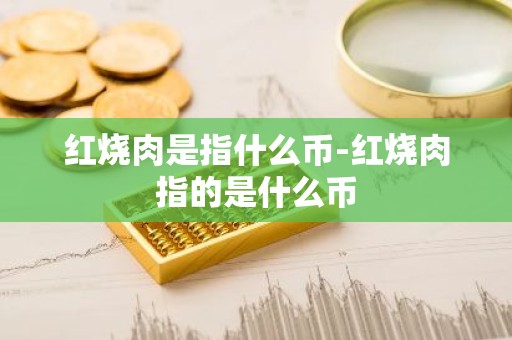 红烧肉是指什么币-红烧肉指的是什么币