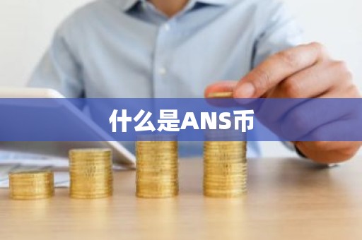 什么是ANS币