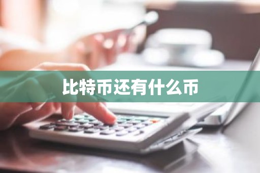 比特币还有什么币
