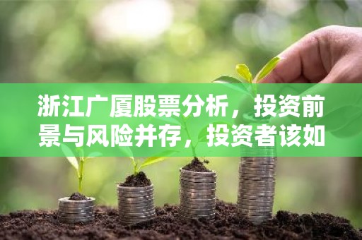 浙江广厦股票分析，投资前景与风险并存，投资者该如何抉择？