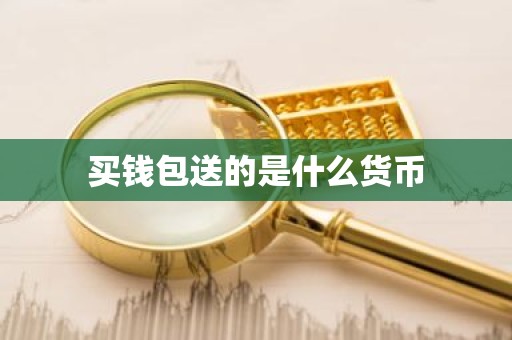 买钱包送的是什么货币