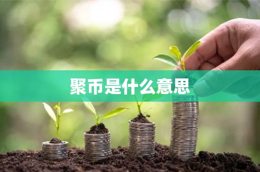 聚币是什么意思