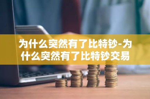 为什么突然有了比特钞-为什么突然有了比特钞交易