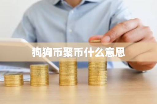 狗狗币聚币什么意思