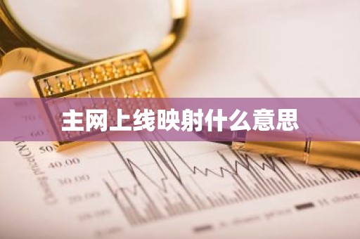 主网上线映射什么意思