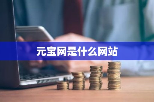 元宝网是什么网站