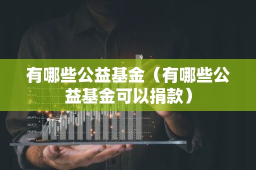 有哪些公益基金（有哪些公益基金可以捐款）