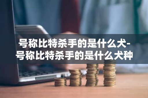 号称比特杀手的是什么犬-号称比特杀手的是什么犬种
