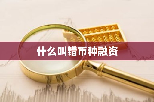什么叫错币种融资
