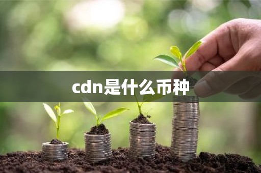 cdn是什么币种