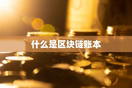 什么是区块链账本