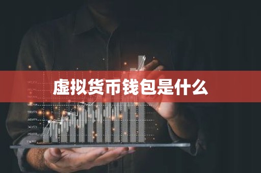 虚拟货币钱包是什么