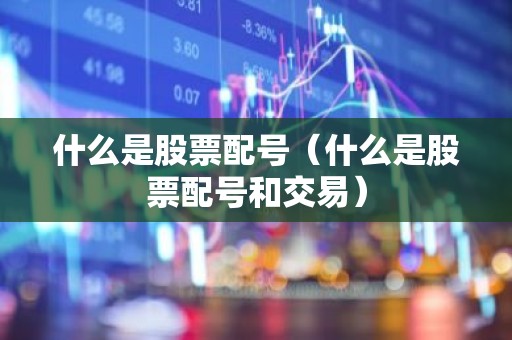 什么是股票配号（什么是股票配号和交易）