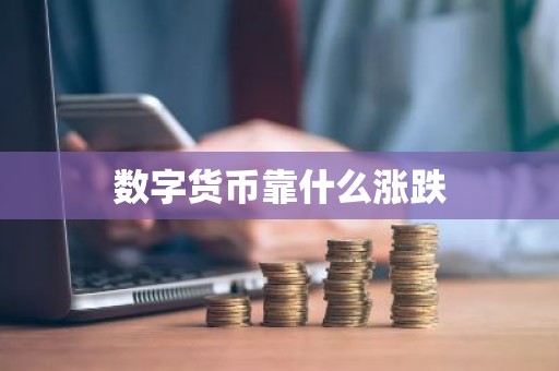 数字货币靠什么涨跌