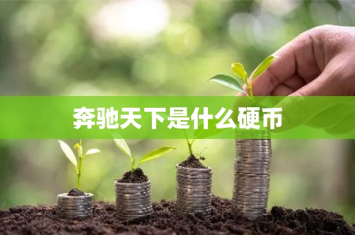 奔驰天下是什么硬币
