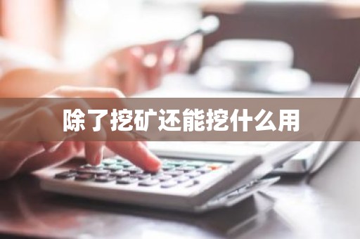 除了挖矿还能挖什么用