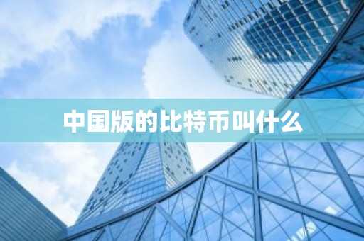 中国版的比特币叫什么