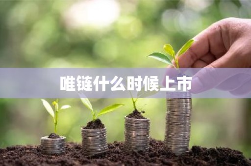 唯链什么时候上市