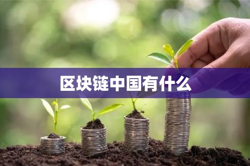 区块链中国有什么