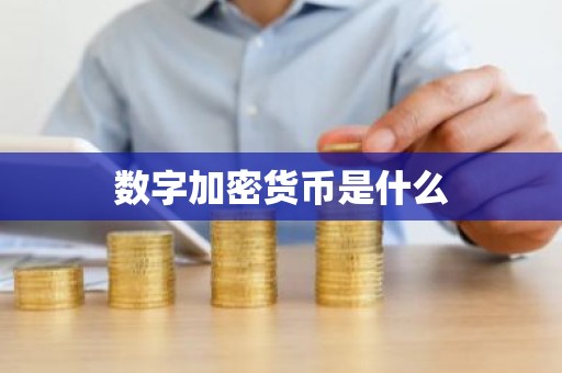 数字加密货币是什么