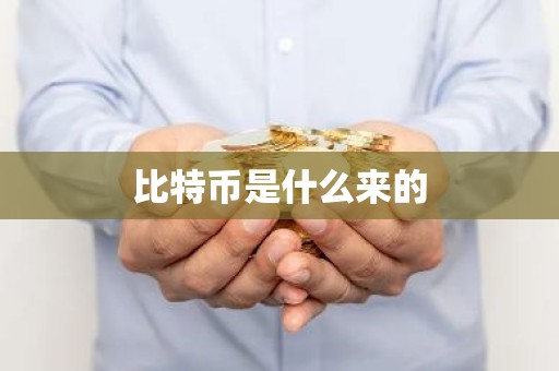 比特币是什么来的