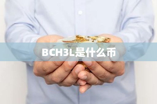 BCH3L是什么币
