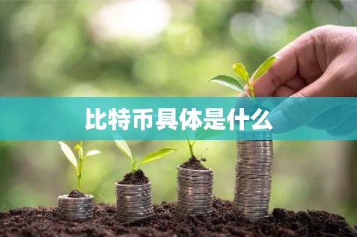 比特币具体是什么