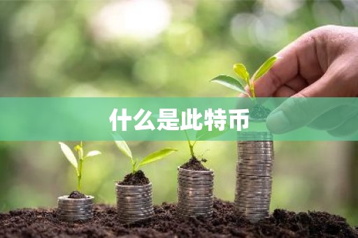 什么是此特币