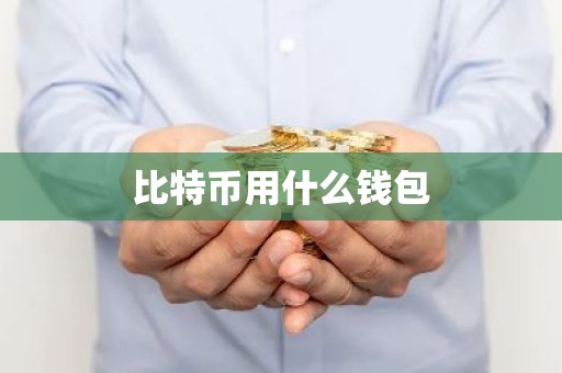 比特币用什么钱包