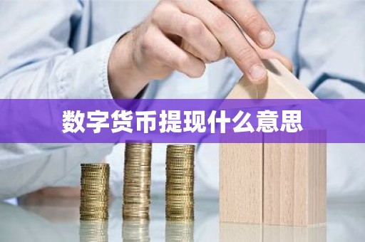 数字货币提现什么意思
